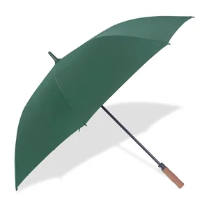 Paraguas verde