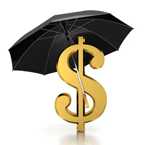 Presupuesto para sombrillas y paraguas